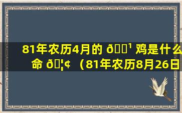 81年农历4月的 🌹 鸡是什么命 🦢 （81年农历8月26日是什么星座）